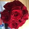 jasmine885